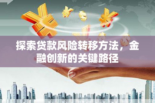 龙崎探索贷款风险转移方法，金融创新的关键路径