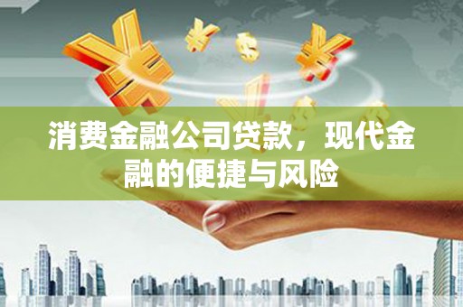 龙崎消费金融公司贷款，现代金融的便捷与风险