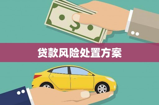 龙崎贷款风险处置方案