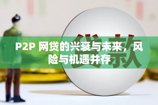 龙崎P2P 网贷的兴衰与未来，风险与机遇并存