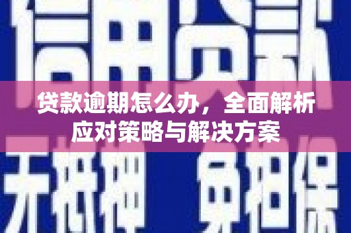 龙崎贷款逾期怎么办，全面解析应对策略与解决方案