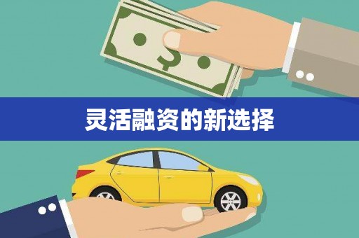 龙崎灵活融资的新选择