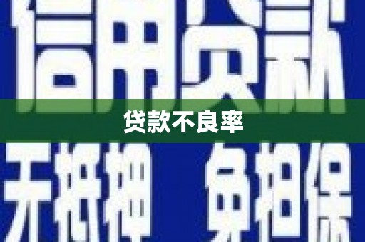 龙崎贷款不良率