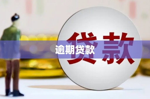 龙崎逾期贷款