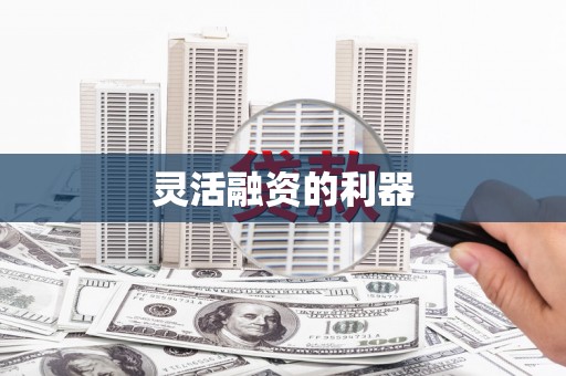 龙崎灵活融资的利器