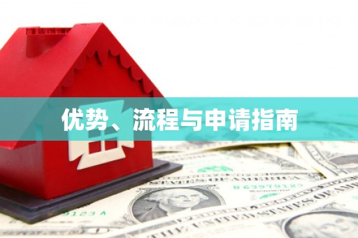 龙崎优势、流程与申请指南