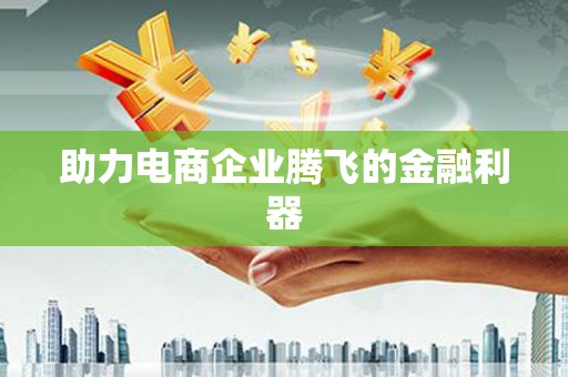 龙崎助力电商企业腾飞的金融利器