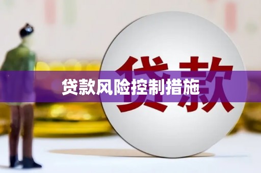 龙崎贷款风险控制措施