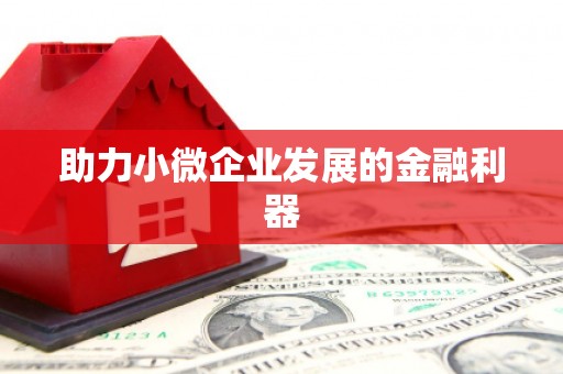 龙崎助力小微企业发展的金融利器