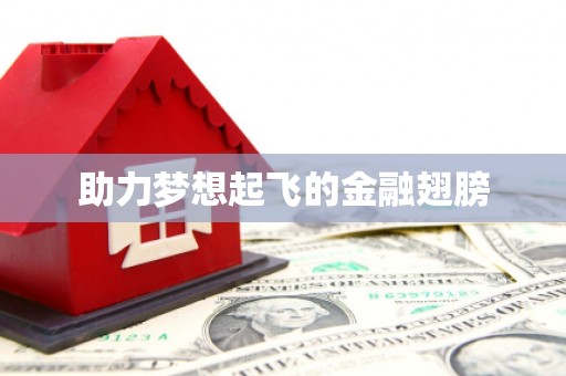龙崎助力梦想起飞的金融翅膀