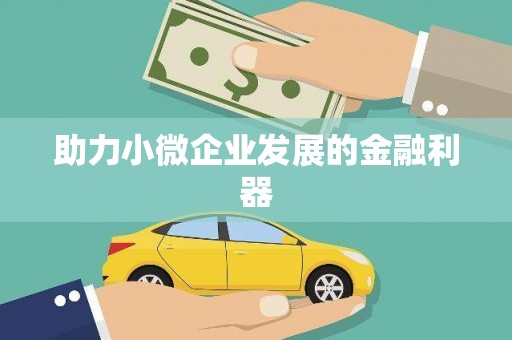 龙崎助力小微企业发展的金融利器