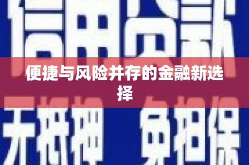 龙崎便捷与风险并存的金融新选择