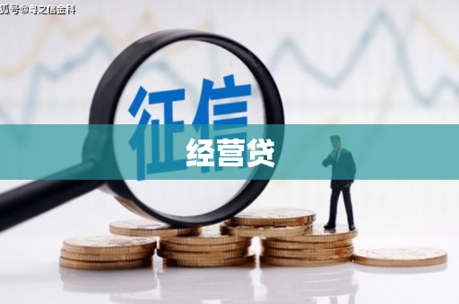 龙崎经营贷
