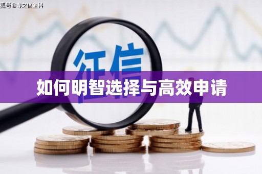 龙崎如何明智选择与高效申请