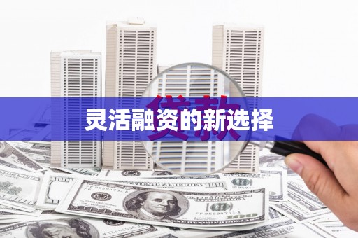龙崎灵活融资的新选择