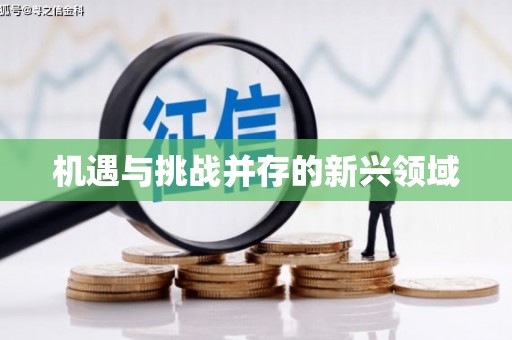 龙崎机遇与挑战并存的新兴领域