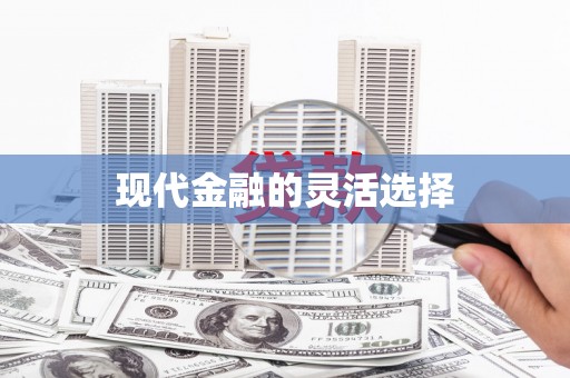 龙崎现代金融的灵活选择