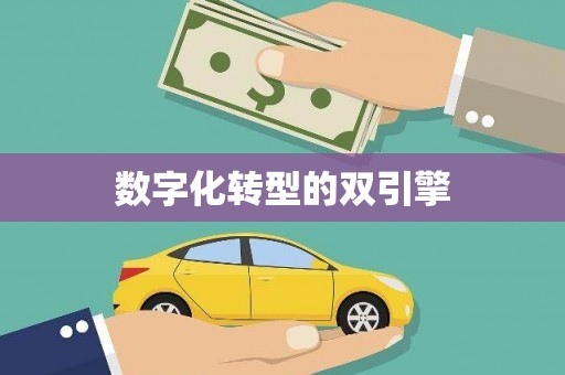 龙崎数字化转型的双引擎