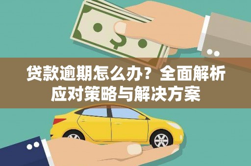龙崎贷款逾期怎么办？全面解析应对策略与解决方案