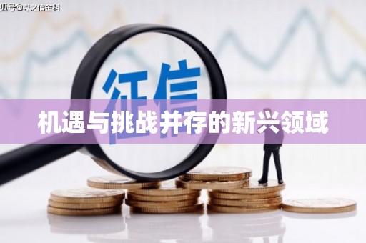龙崎机遇与挑战并存的新兴领域