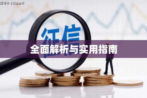龙崎全面解析与实用指南