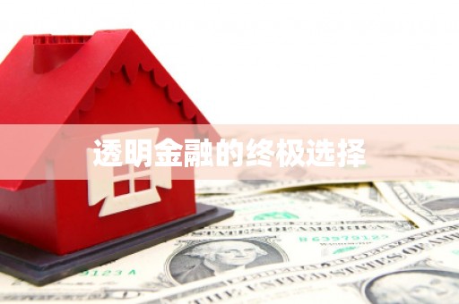 龙崎透明金融的终极选择