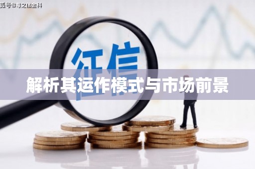 龙崎解析其运作模式与市场前景
