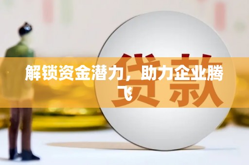 龙崎解锁资金潜力，助力企业腾飞