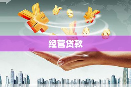 龙崎经营贷款