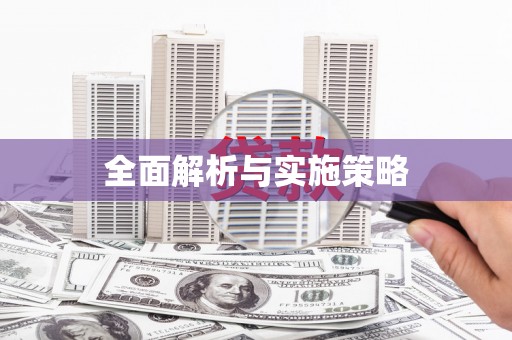龙崎全面解析与实施策略