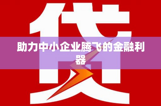 龙崎助力中小企业腾飞的金融利器