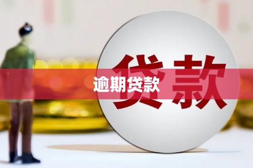 龙崎逾期贷款