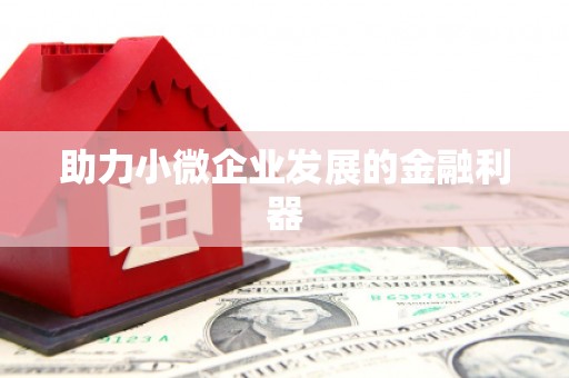 龙崎助力小微企业发展的金融利器