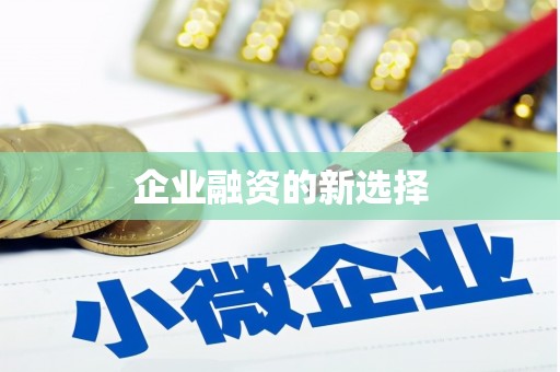 龙崎企业融资的新选择