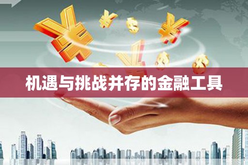 龙崎机遇与挑战并存的金融工具