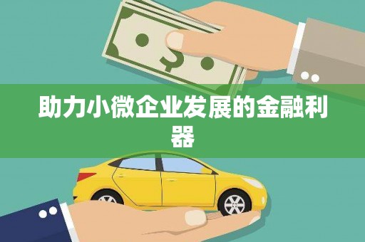 龙崎助力小微企业发展的金融利器