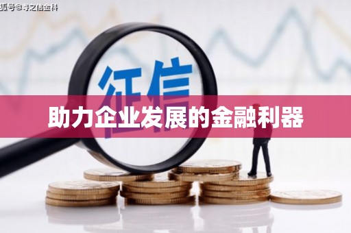 龙崎助力企业发展的金融利器
