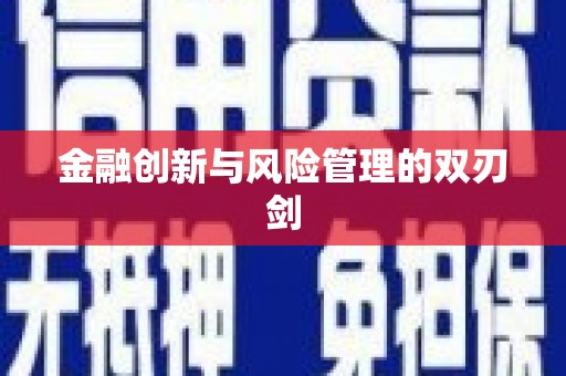 龙崎金融创新与风险管理的双刃剑
