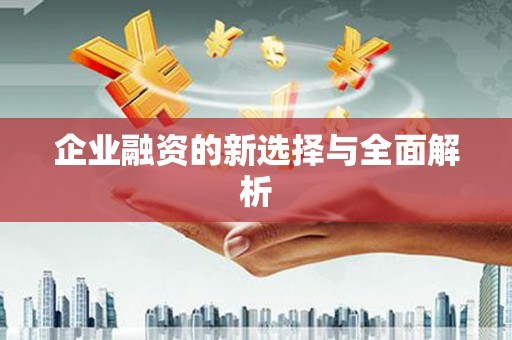龙崎企业融资的新选择与全面解析