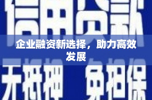 龙崎企业融资新选择，助力高效发展
