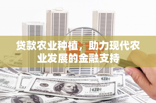 龙崎贷款农业种植，助力现代农业发展的金融支持