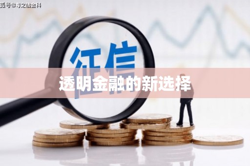 龙崎透明金融的新选择