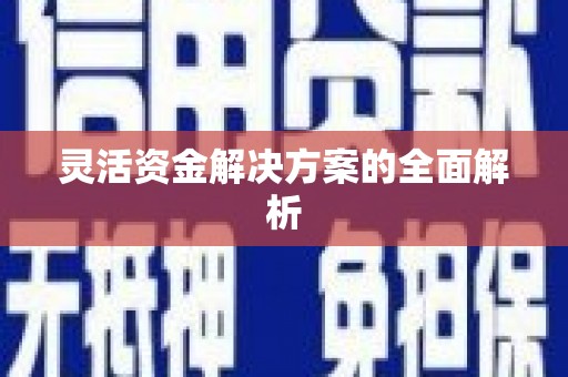 龙崎灵活资金解决方案的全面解析