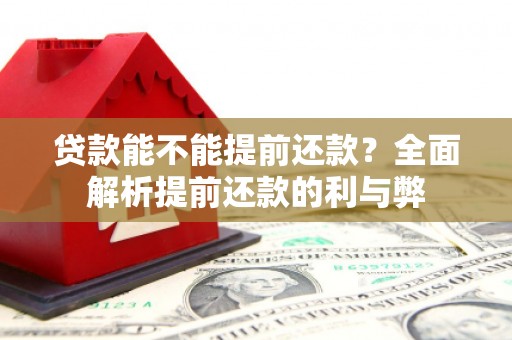 龙崎贷款能不能提前还款？全面解析提前还款的利与弊