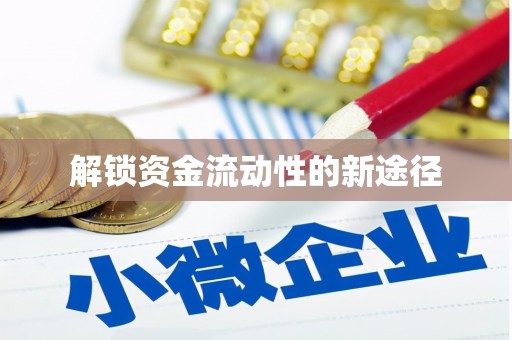 龙崎解锁资金流动性的新途径