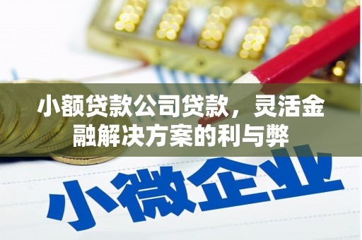龙崎小额贷款公司贷款，灵活金融解决方案的利与弊