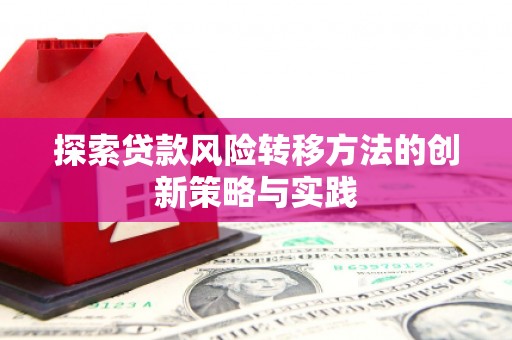 龙崎探索贷款风险转移方法的创新策略与实践