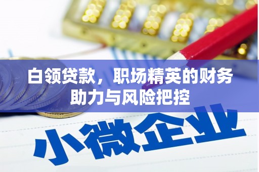 龙崎白领贷款，职场精英的财务助力与风险把控