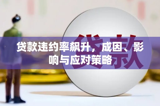 龙崎贷款违约率飙升，成因、影响与应对策略